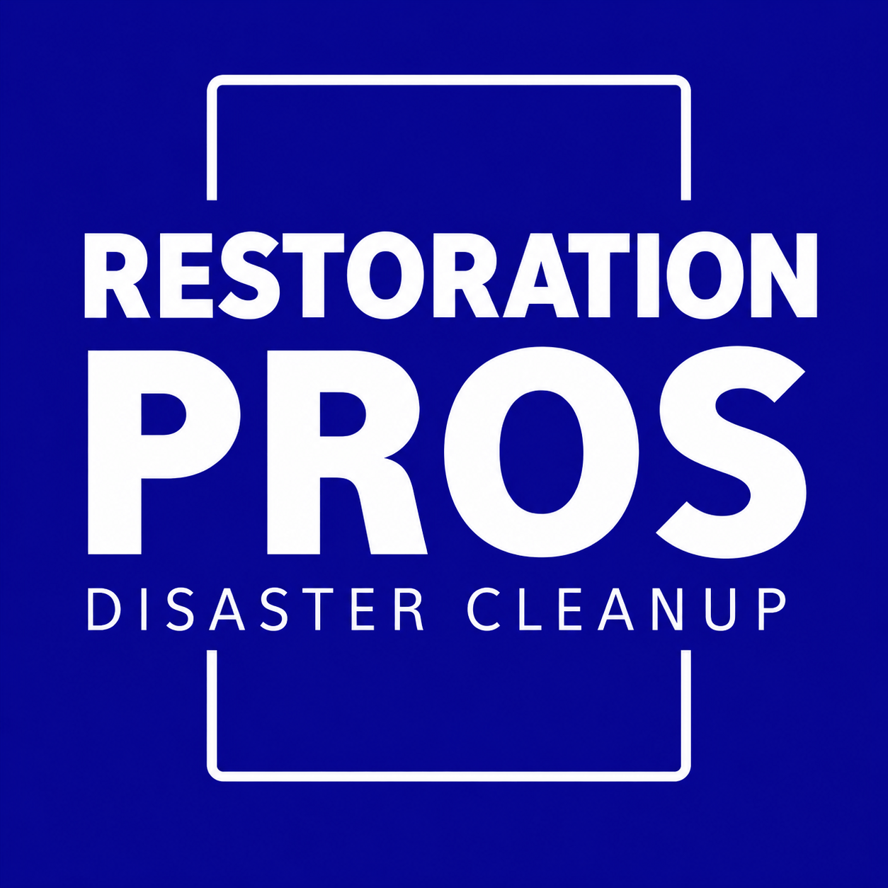 Disaster Cleanup Pros